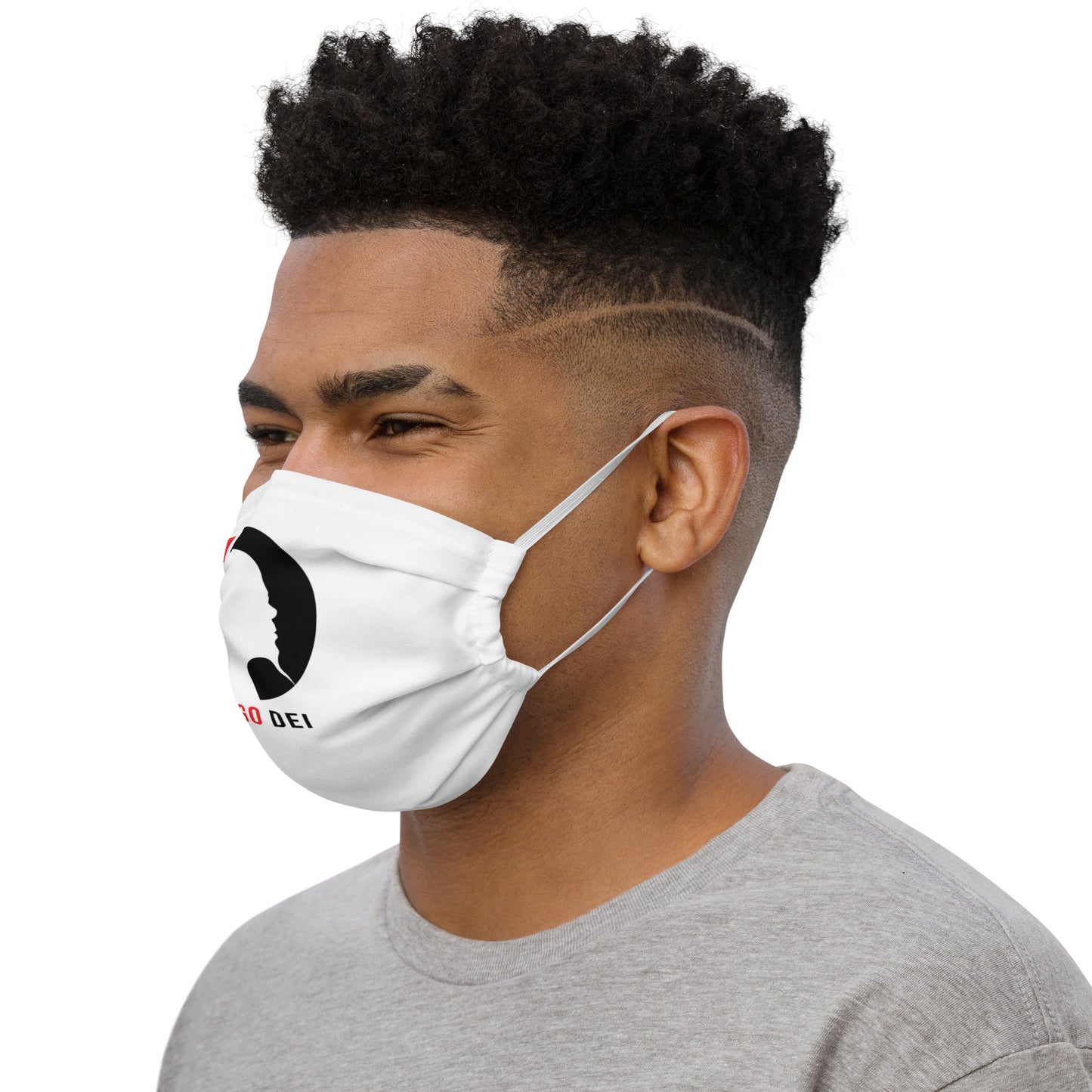 Premium face mask