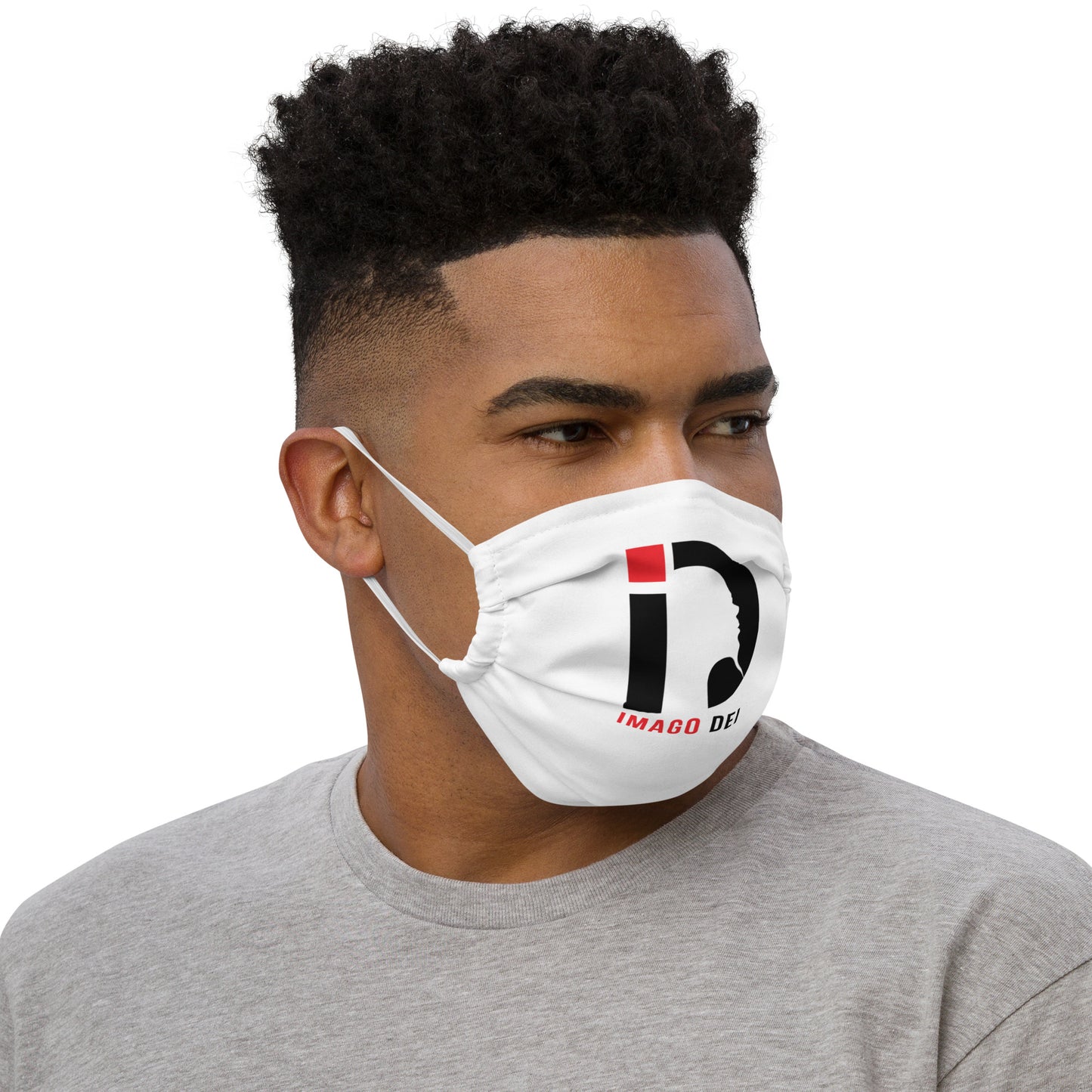 Premium face mask